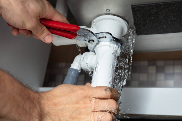 Best Flooded house restoration  in Ann Arbor, MI