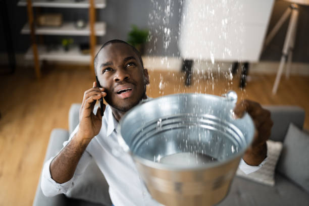 Best 24-hour water damage restoration  in Ann Arbor, MI