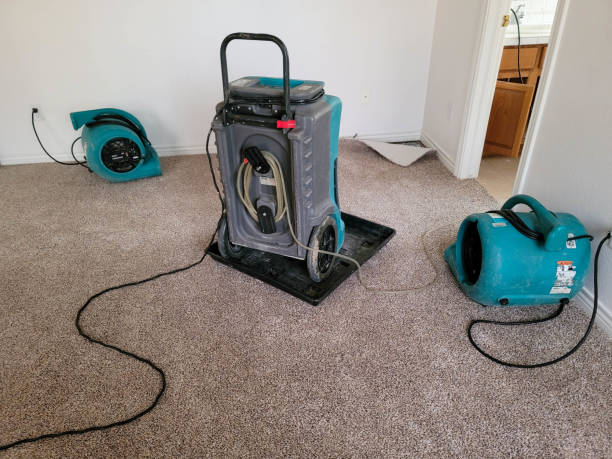 Best Local water damage restoration  in Ann Arbor, MI