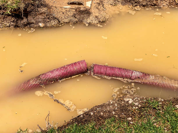 Professional Water damage restoration in Ann Arbor, MI